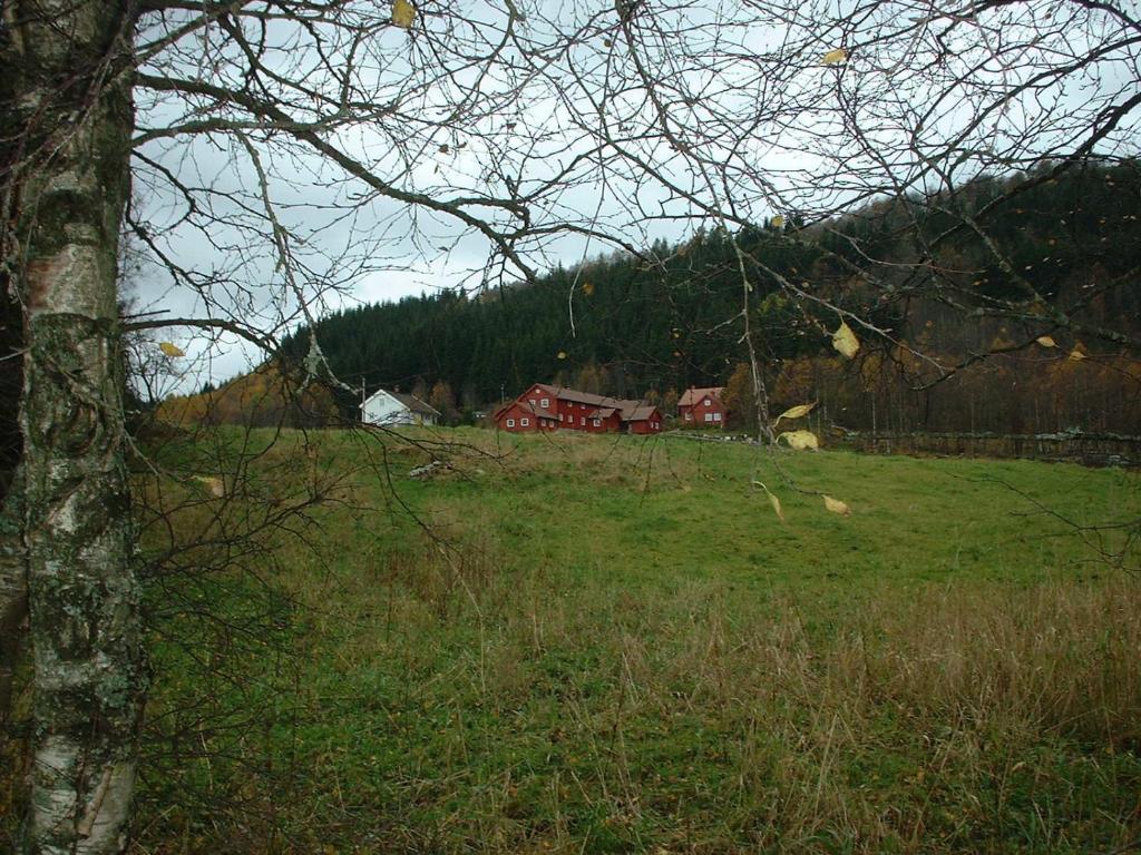 Heddan Gjestegard Tingvatn Buitenkant foto