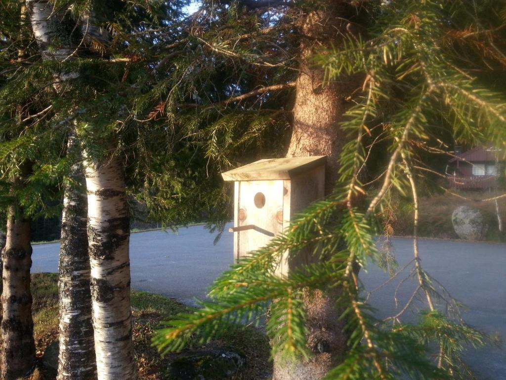 Heddan Gjestegard Tingvatn Buitenkant foto
