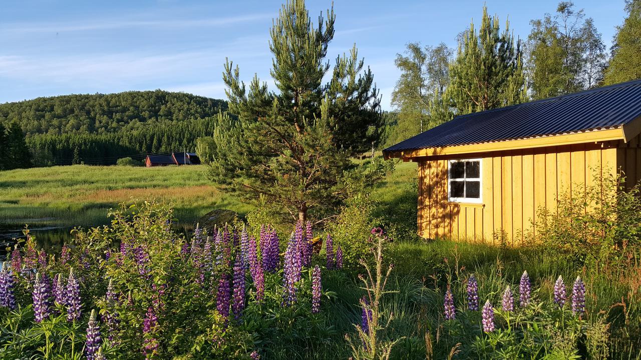 Heddan Gjestegard Tingvatn Buitenkant foto